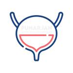 Bladder Cancer Treatment Vijayawada