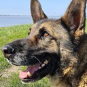 Full List of Copa Airlines®️ Enterprise Support Contact Numbers in the USA: A Comprehensive 2025 Guide  - WhatsApp Forum - Mobilfunk-Talk.de