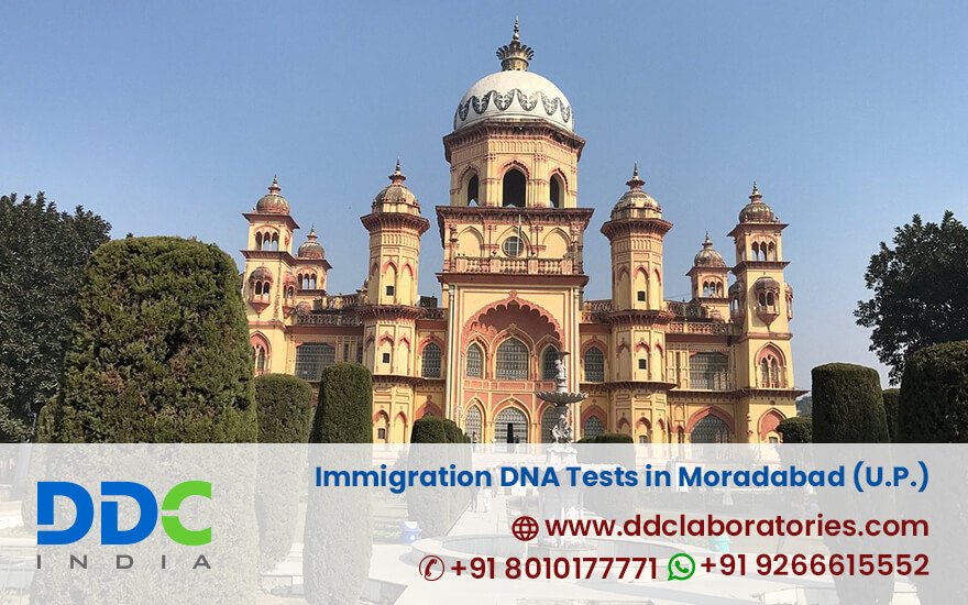 Immigration DNA Tests in Moradabad - DDC Laboratories India